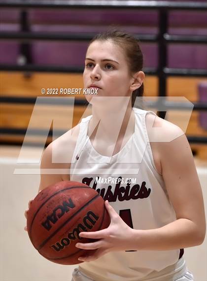 Thumbnail 3 in Basha @ Hamilton photogallery.