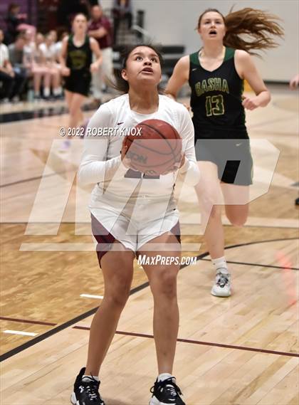 Thumbnail 3 in Basha @ Hamilton photogallery.