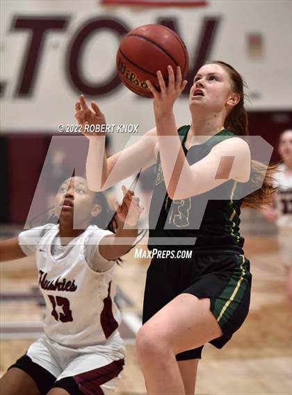 Thumbnail 2 in Basha @ Hamilton photogallery.