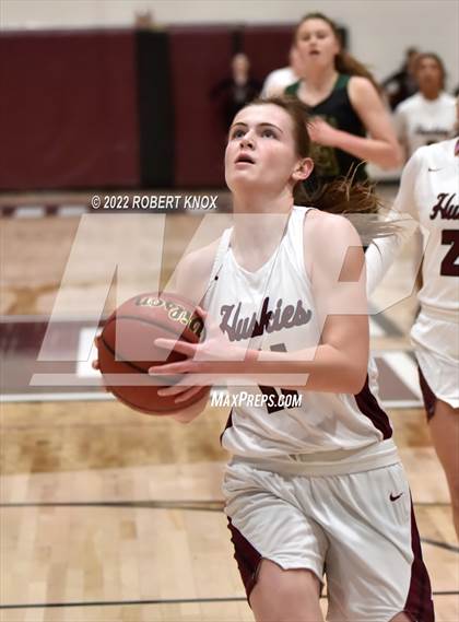 Thumbnail 3 in Basha @ Hamilton photogallery.