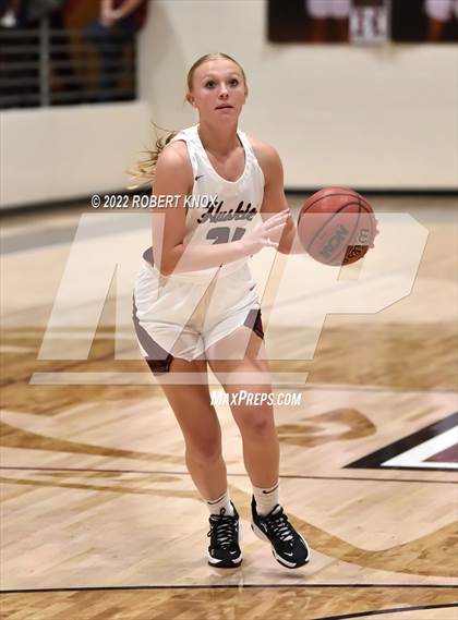 Thumbnail 3 in Basha @ Hamilton photogallery.