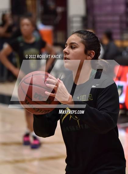 Thumbnail 1 in Basha @ Hamilton photogallery.