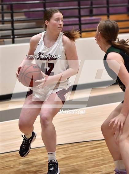 Thumbnail 2 in Basha @ Hamilton photogallery.