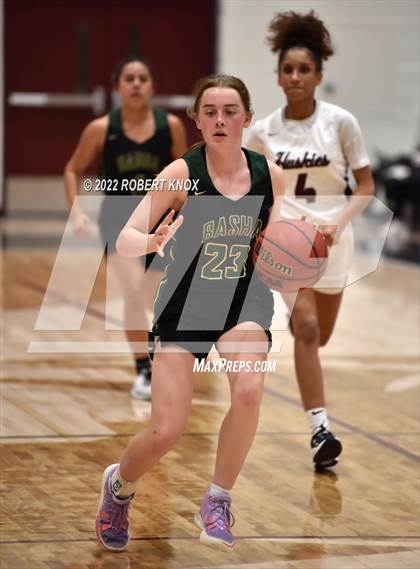 Thumbnail 2 in Basha @ Hamilton photogallery.