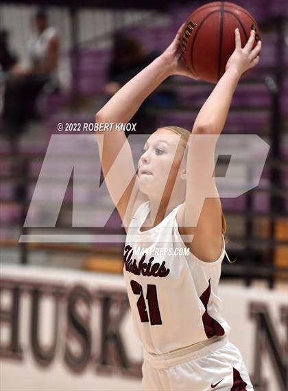 Thumbnail 2 in Basha @ Hamilton photogallery.