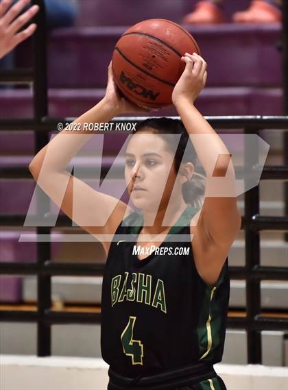 Thumbnail 3 in Basha @ Hamilton photogallery.