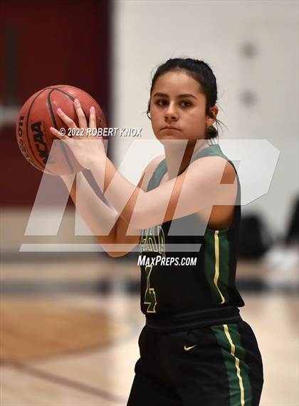 Thumbnail 1 in Basha @ Hamilton photogallery.