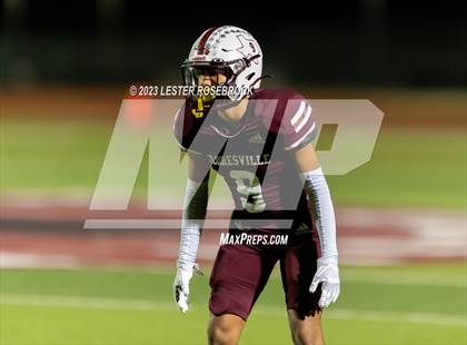 Thumbnail 3 in Pleasanton @ Floresville photogallery.