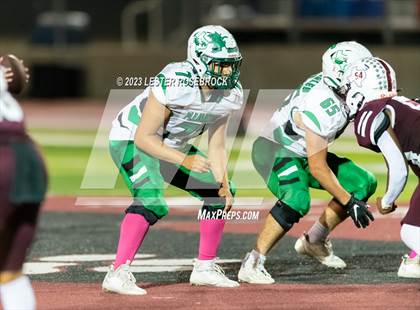 Thumbnail 3 in Pleasanton @ Floresville photogallery.