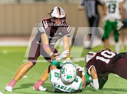 Thumbnail 3 in Pleasanton @ Floresville photogallery.