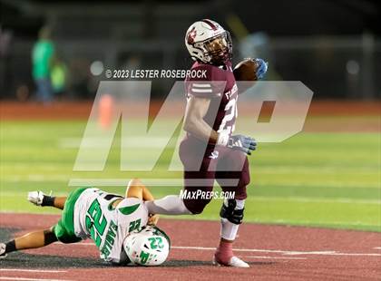 Thumbnail 3 in Pleasanton @ Floresville photogallery.