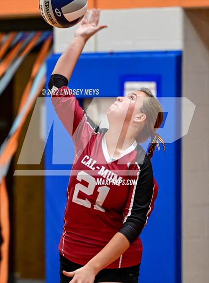 Thumbnail 3 in Livonia @ Caledonia-Mumford photogallery.
