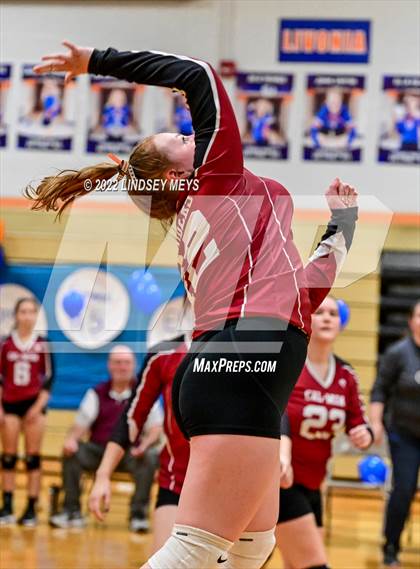 Thumbnail 3 in Livonia @ Caledonia-Mumford photogallery.