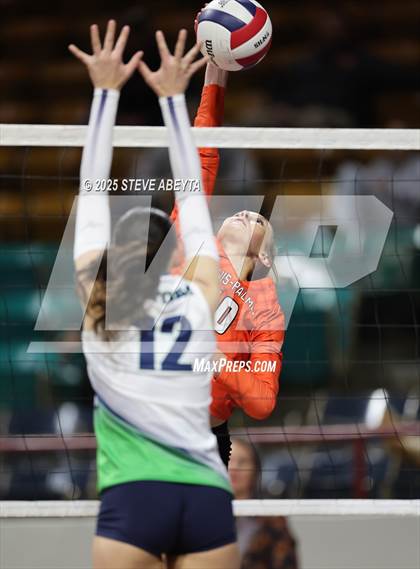 Thumbnail 2 in Standley Lake @ Lewis-Palmer (CHSAA 4A First Round) photogallery.