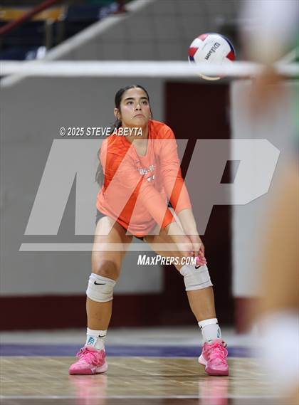 Thumbnail 2 in Standley Lake @ Lewis-Palmer (CHSAA 4A First Round) photogallery.