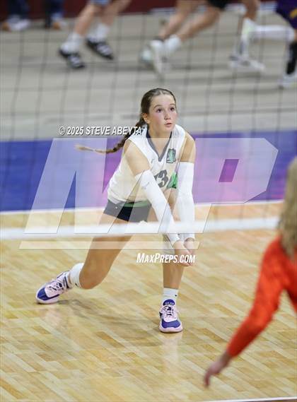 Thumbnail 1 in Standley Lake @ Lewis-Palmer (CHSAA 4A First Round) photogallery.