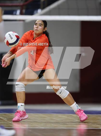 Thumbnail 2 in Standley Lake @ Lewis-Palmer (CHSAA 4A First Round) photogallery.