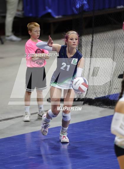 Thumbnail 1 in Standley Lake @ Lewis-Palmer (CHSAA 4A First Round) photogallery.