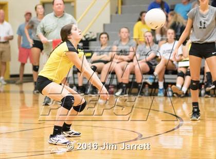 Thumbnail 3 in Senatobia @ Hernando photogallery.