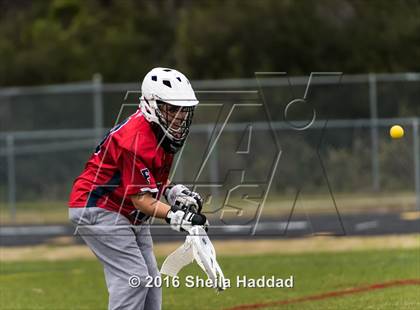 Thumbnail 2 in Freedom @ Steinbrenner photogallery.