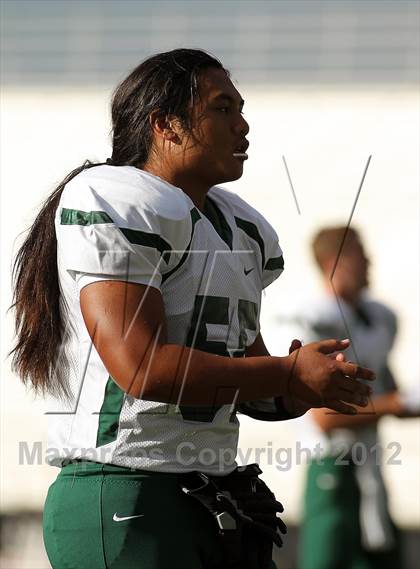 Thumbnail 3 in Naaman Forest @ Rockwall-Heath photogallery.