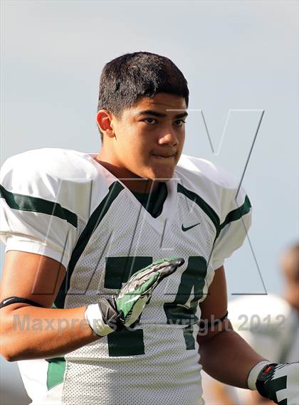 Thumbnail 1 in Naaman Forest @ Rockwall-Heath photogallery.