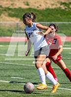 Photo from the gallery "Cedar @ East"