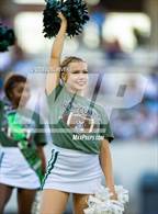Photo from the gallery "Paetow @ Mayde Creek"