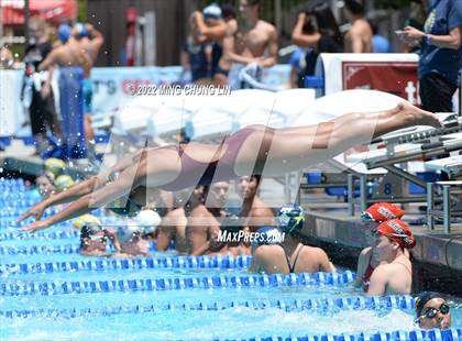 Thumbnail 1 in CIF SS D3/D4 Swimming Final  photogallery.