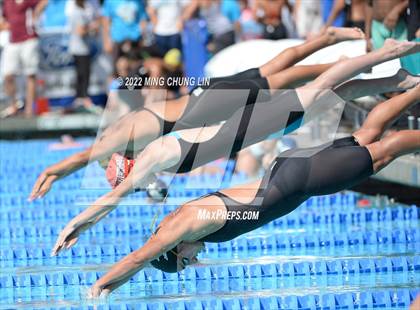 Thumbnail 1 in CIF SS D3/D4 Swimming Final  photogallery.