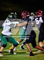 Photo from the gallery "Monterey Trail @ Laguna Creek"