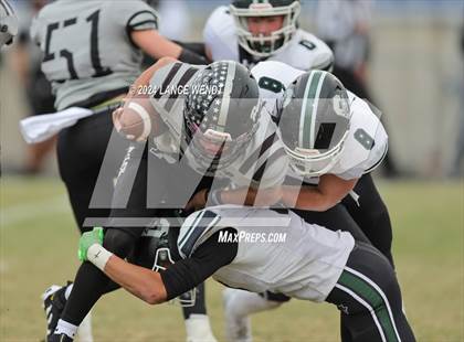 Thumbnail 1 in Conifer @ Pomona (CHSAA 3A First Round) photogallery.