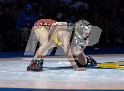 Thumbnail 3 in CIF Girls State Championships (Finals) photogallery.
