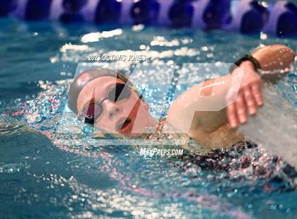 Thumbnail 3 in PWCS Aquatic Center Swim & Dive Meet photogallery.