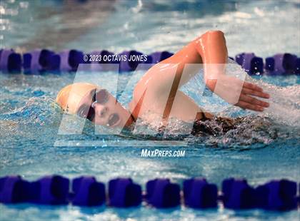 Thumbnail 2 in PWCS Aquatic Center Swim & Dive Meet photogallery.