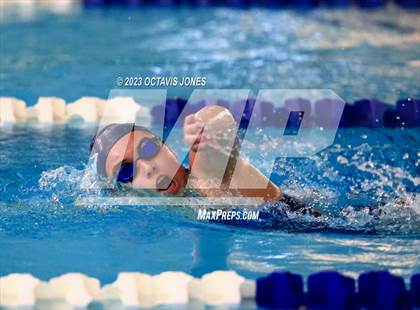 Thumbnail 1 in PWCS Aquatic Center Swim & Dive Meet photogallery.
