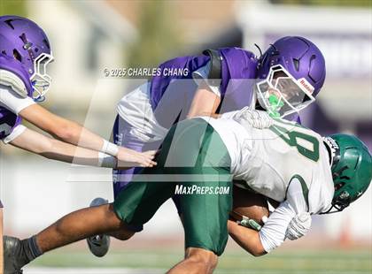 Thumbnail 2 in JV: Maria Carrillo @ Petaluma photogallery.