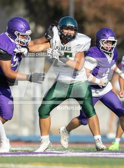 Thumbnail 3 in JV: Maria Carrillo @ Petaluma photogallery.