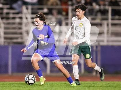 Thumbnail 1 in Newark Memorial vs. Concord (CIFNCS D2 Rd 1) photogallery.