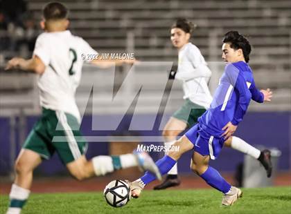 Thumbnail 1 in Newark Memorial vs. Concord (CIFNCS D2 Rd 1) photogallery.