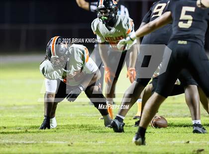 Thumbnail 2 in Lakeland @ Lake Gibson photogallery.