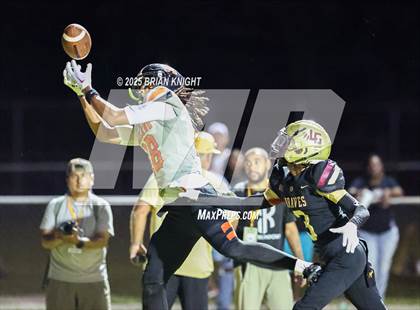 Thumbnail 1 in Lakeland @ Lake Gibson photogallery.