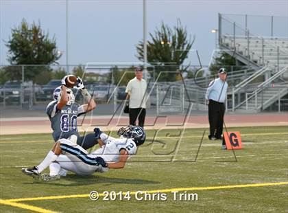 Thumbnail 3 in Bellarmine @ Franklin photogallery.