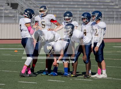 Thumbnail 2 in Bellarmine-Jefferson vs Lighthouse Christian photogallery.
