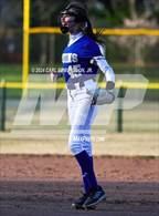 Photo from the gallery "Blackman @ Brentwood"