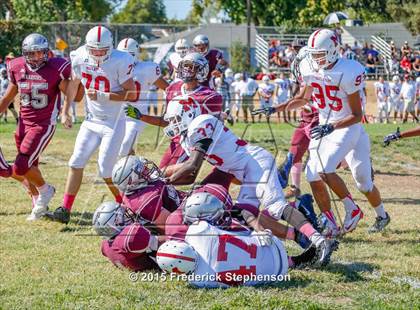 Thumbnail 3 in McClatchy @ Johnson photogallery.