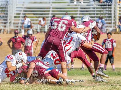 Thumbnail 3 in McClatchy @ Johnson photogallery.
