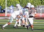 Photo from the gallery "De La Salle @ Saint Francis"