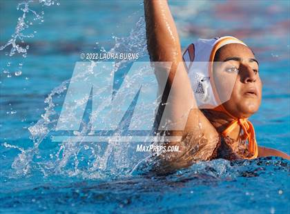 Thumbnail 1 in Los Gatos @ Lynbrook photogallery.