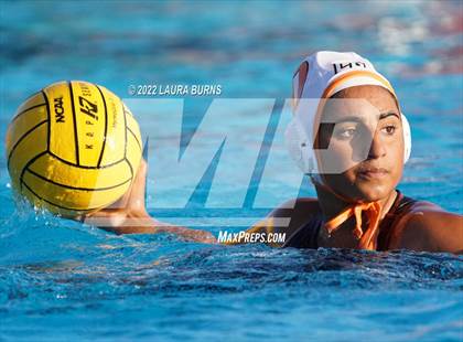 Thumbnail 1 in Los Gatos @ Lynbrook photogallery.